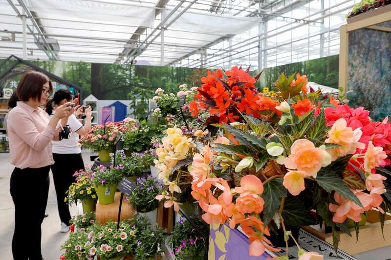 2024北京春季新优花卉品种展示推介会举办(图1)