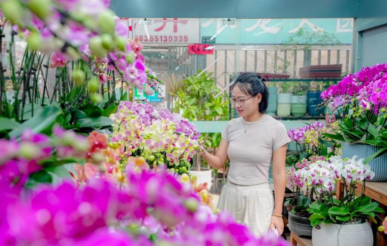 中秋将至！合肥蜀山花卉市场繁花似锦迎佳节(图2)