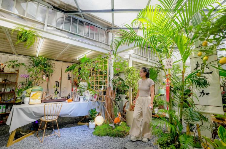 中秋将至！合肥蜀山花卉市场繁花似锦迎佳节(图4)