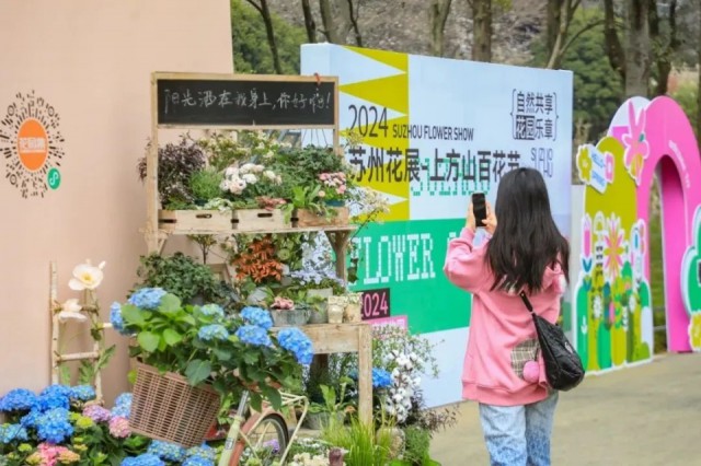 2024苏州花展开幕打卡春日最美“花”卷(图2)