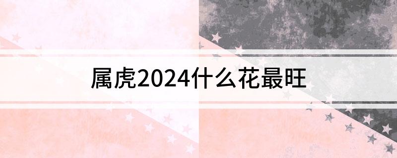 属虎2024什么花最旺(图1)