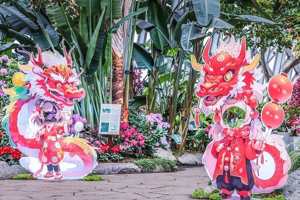 繁花似锦龙跃花间辰山植物园2024迎春花展开幕(图4)