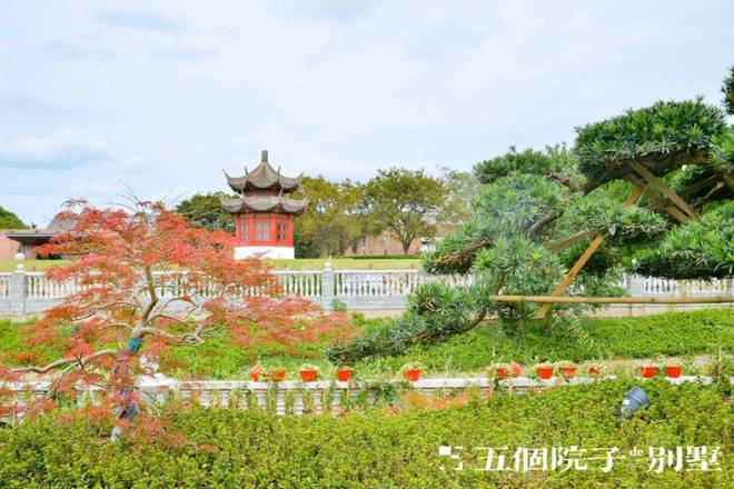 嘉定2024五个院子的别墅(网站)楼盘详情户型价格地址(图13)