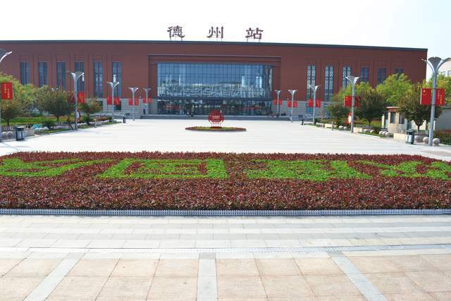 感知山东德城区城市管理局23万盆鲜花盛景喜迎国庆(图2)