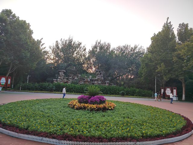 感知山东德城区城市管理局23万盆鲜花盛景喜迎国庆(图6)