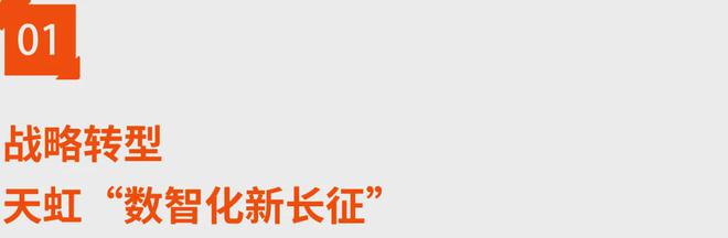 干货纯享！从战略到战术天虹数智经验深度复盘(图2)