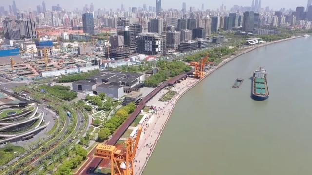 2024上海(国际)花展开幕!(图2)
