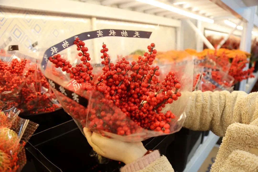 花卉市场由“红”转“绿”!有的花年前年后价格近对折(图2)