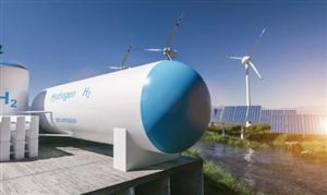 鲜花芬芳俏销市场鲜花行业市场分析2024(图9)