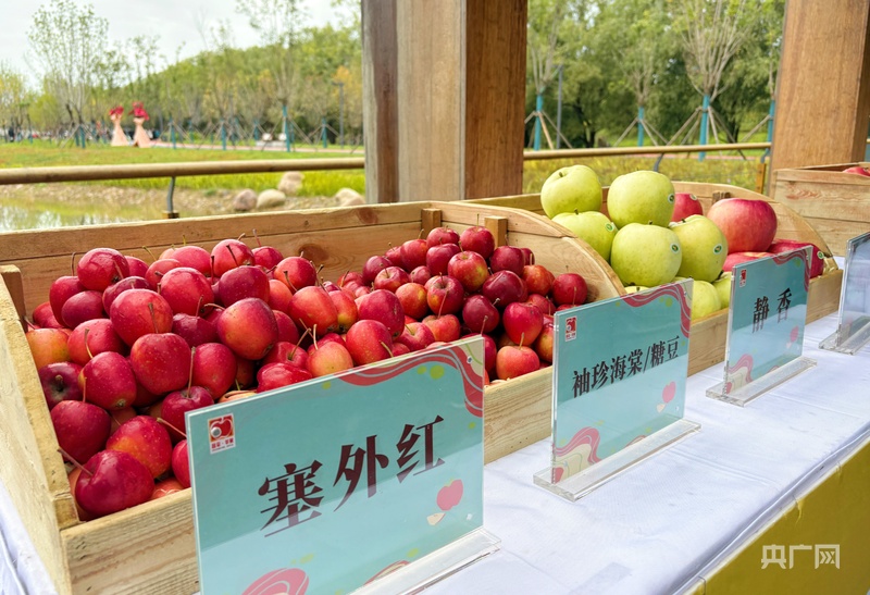 第二届北京苹果嘉年华暨第二十一届昌平苹果文化节开幕(图2)