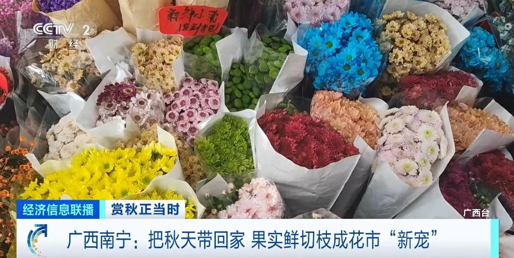 把满满氛围感带回家这个秋天果实鲜切枝成花市“新宠”(图1)