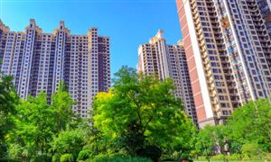 鲜花市场调查报告鲜花市场的未来前景如何？(图8)