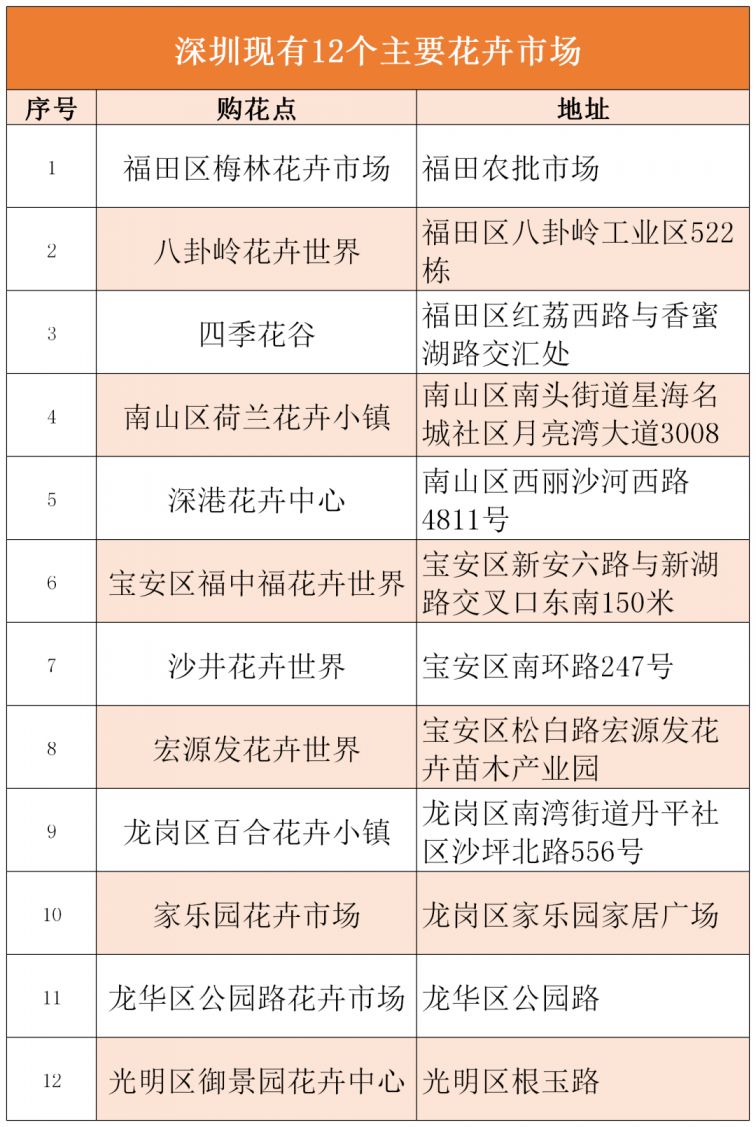 2024深圳迎春花市时间、地点及看点(图2)