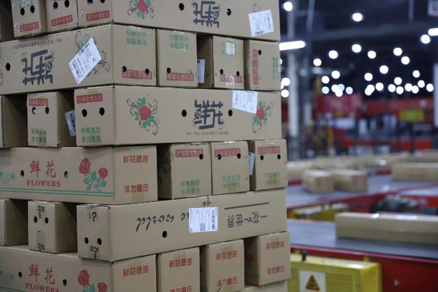 云花出滇正当时！云南顺丰今年累计运输超过15万吨鲜花至国内外(图3)