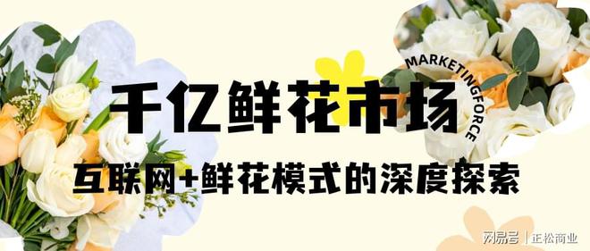 互联网与鲜花蓝海市场:深度挖掘千亿市场的潜力与价值(图1)