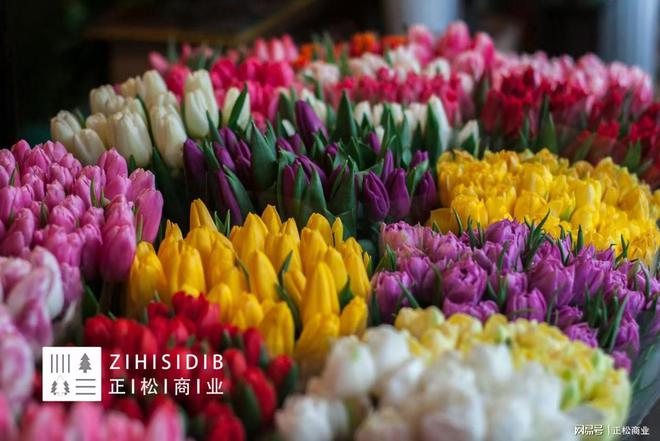互联网与鲜花蓝海市场:深度挖掘千亿市场的潜力与价值(图3)
