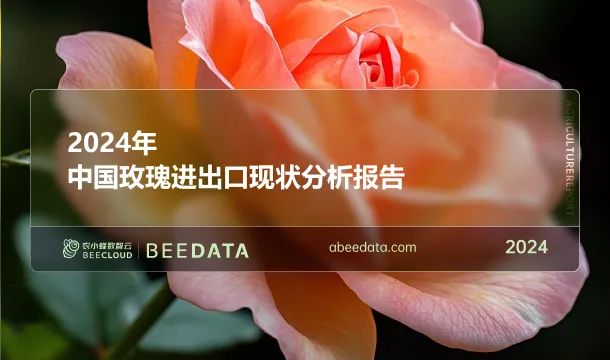 2024年中国玫瑰进出口现状简析(图1)