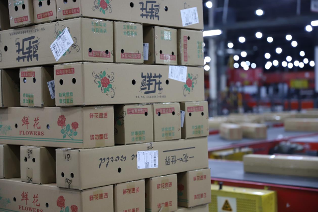 云花出滇正当时！云南顺丰今年累计运输超过15万吨鲜花至国内外_新华网(图3)