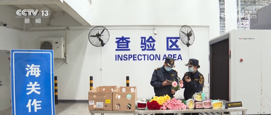 17个小时鲜花飘“湘”让非洲农户从中国市场获益(图5)