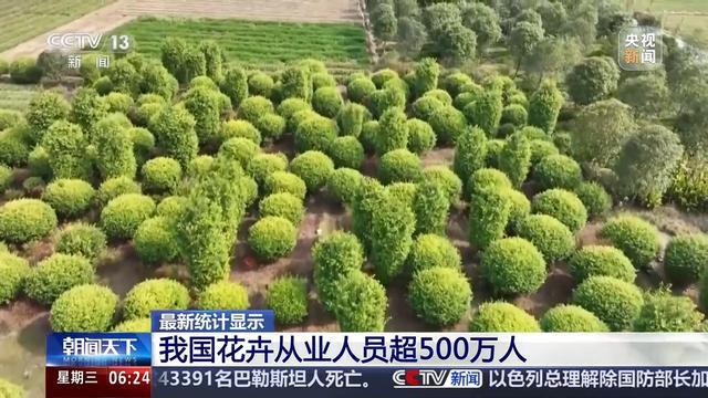 全年销售额将破2000亿我国卖出的花花可绕地球多少圈？(图4)