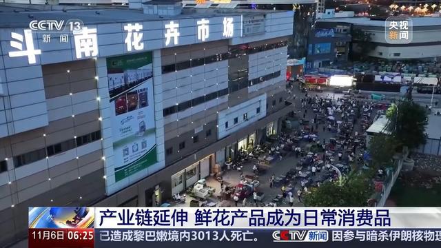 全年销售额将破2000亿我国卖出的花花可绕地球多少圈？(图5)