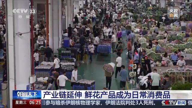 全年销售额将破2000亿我国卖出的花花可绕地球多少圈？(图6)