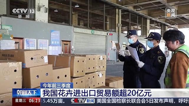 全年销售额将破2000亿我国卖出的花花可绕地球多少圈？(图1)
