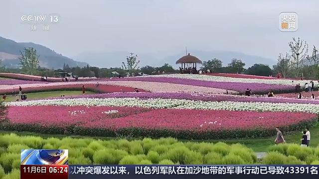 全年销售额将破2000亿我国卖出的花花可绕地球多少圈？(图3)
