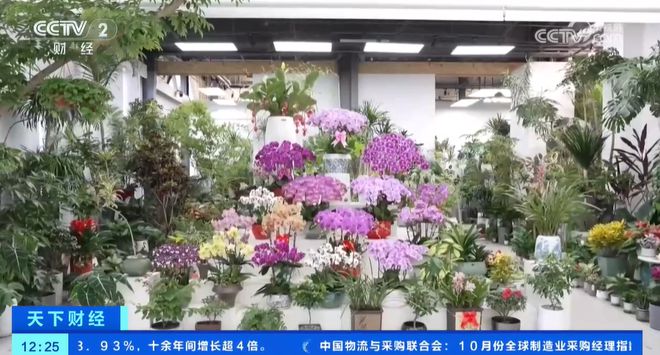 从礼品变为大众消费品鲜花经济更接地气花卉产业链正在促进消费升级(图5)