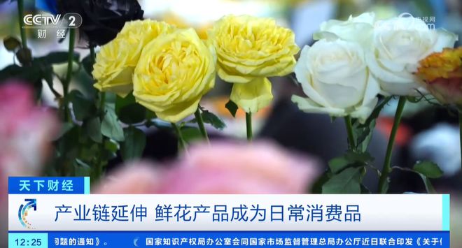 从礼品变为大众消费品鲜花经济更接地气花卉产业链正在促进消费升级(图3)
