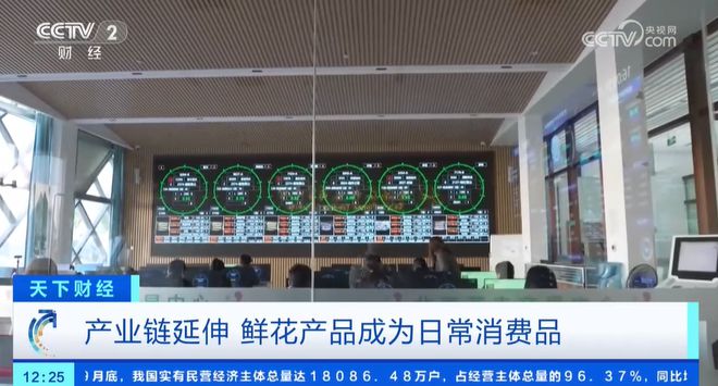 从礼品变为大众消费品鲜花经济更接地气花卉产业链正在促进消费升级(图4)