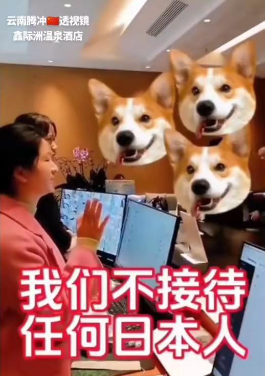 腾冲鑫际洲温泉酒店爆了！鲜花堆满大厅房间已订满涨粉破3万(图1)