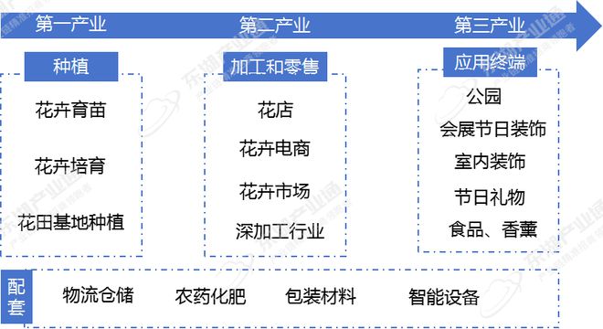 “鲜花经济”绽活力花卉苗木激活千亿产业链(图3)