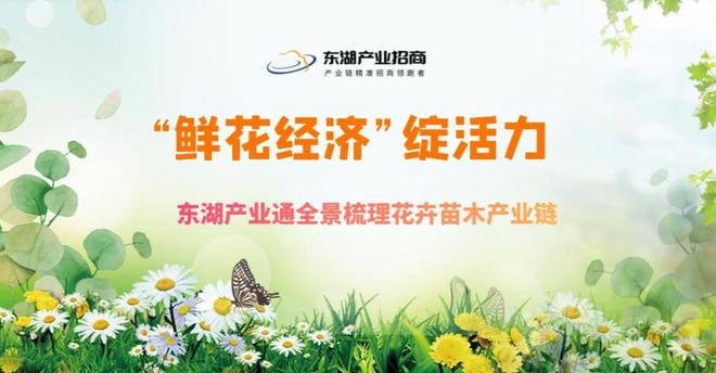 “鲜花经济”绽活力花卉苗木激活千亿产业链(图1)