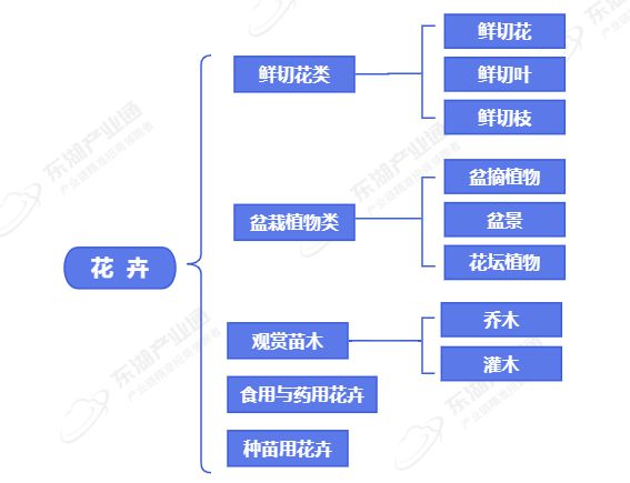 “鲜花经济”绽活力花卉苗木激活千亿产业链(图2)