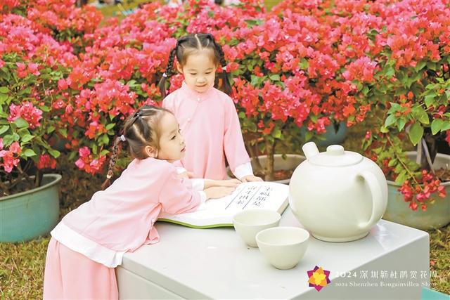 人潮花海秋日共赏2024深圳簕杜鹃赏花周盛大开启超20万平米花海迎客(图1)