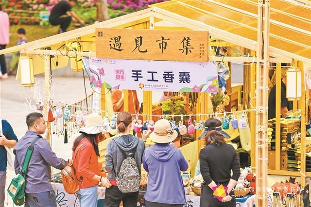 人潮花海秋日共赏2024深圳簕杜鹃赏花周盛大开启超20万平米花海迎客(图3)