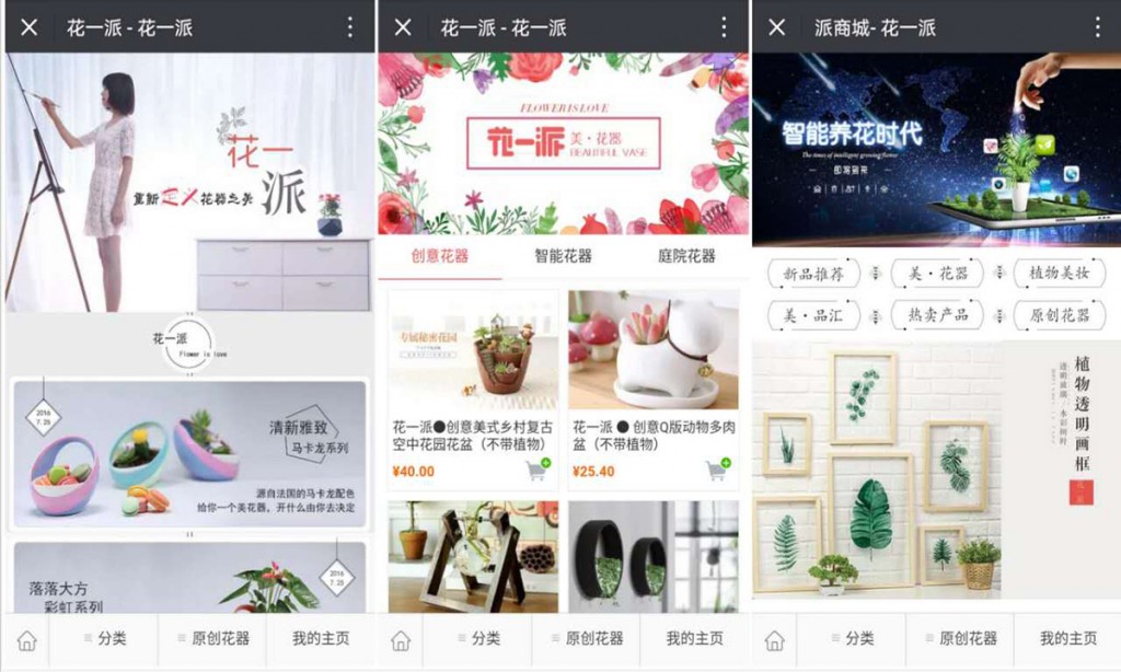 引入互联网的概念花一派通过设计花器重新定义花卉产品(图2)