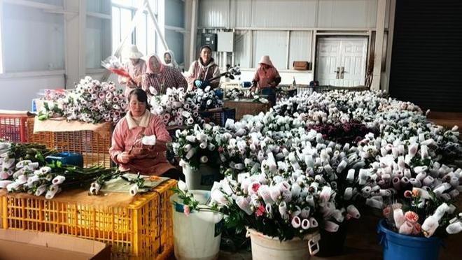 上海和云南实现鲜花交易线上平台数据互联(图1)