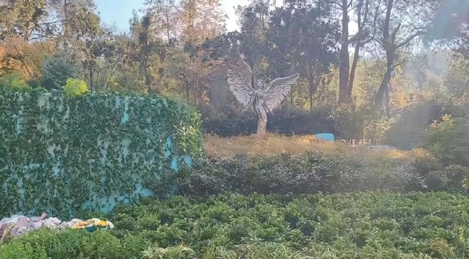 曝李玟墓地遭区别对待！杂草丛生鲜花被堆放一边知情人透露原因(图5)