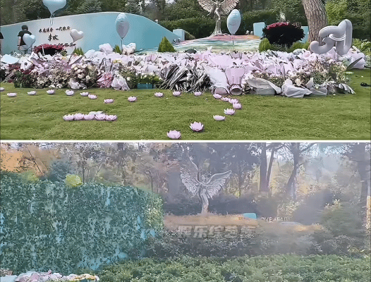 曝李玟墓地遭区别对待！杂草丛生鲜花被堆放一边知情人透露原因(图11)