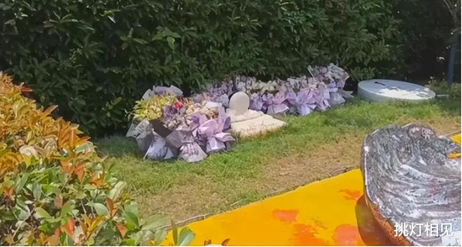 李玟姐姐回应!李玟墓地杂草丛生鲜花凌乱曝有人擅自闯入开直播(图11)
