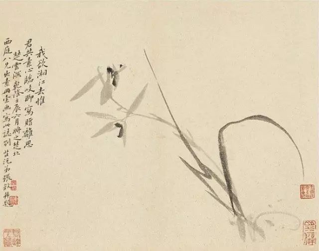 这水墨花卉沁人心脾(图1)