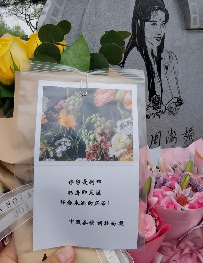 周海媚墓地云纪念馆成立墓碑前有可爱小熊鲜花不断环境优雅(图7)