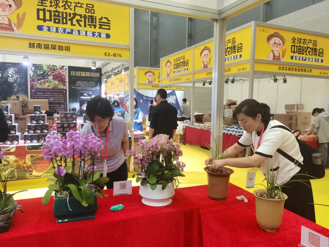 长安黄酒、长安花卉亮相2024年中国中部农业博览会(图3)