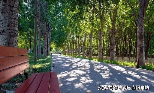 丽都壹号-售楼处(丽都壹号)网站-2024新首页欢迎您-楼盘百科(图16)