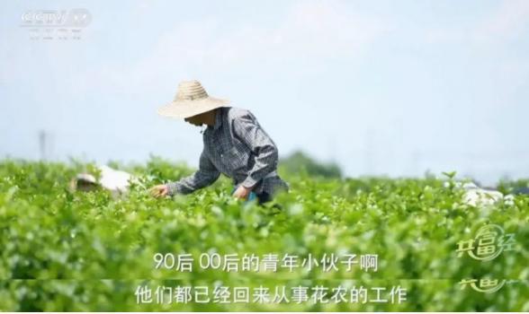 农夫山泉钟睒睒与农夫山泉：深耕茉莉花之都共绘乡村振兴新蓝图(图3)