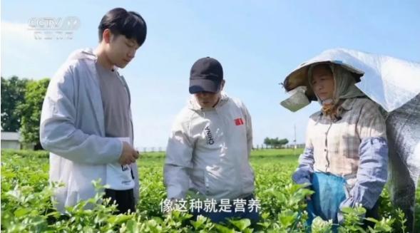 农夫山泉钟睒睒与农夫山泉：深耕茉莉花之都共绘乡村振兴新蓝图(图2)
