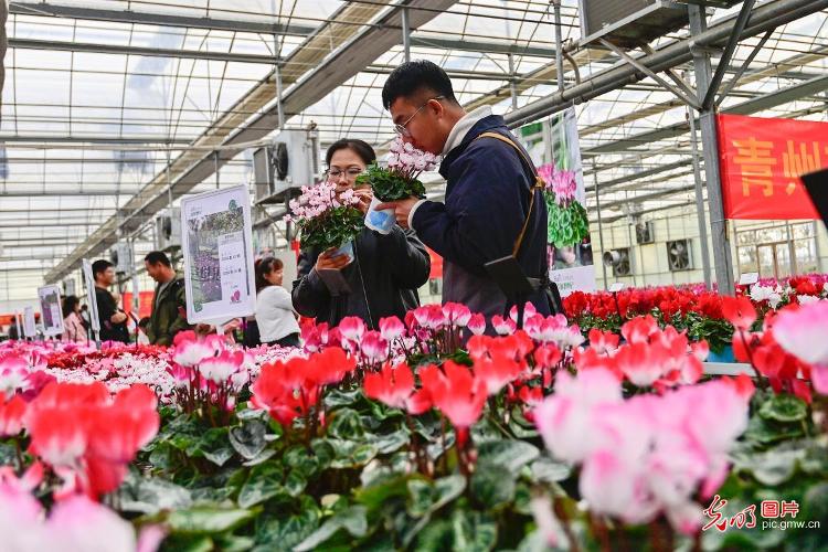 举办花卉新品展拓宽增收致富路(图1)