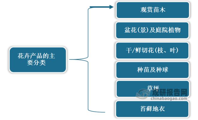 中国花卉市场发展深度分析与投资前景调研报告(2022-2029年)(图1)